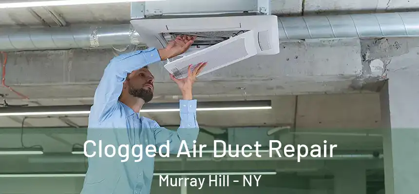 Clogged Air Duct Repair Murray Hill - NY