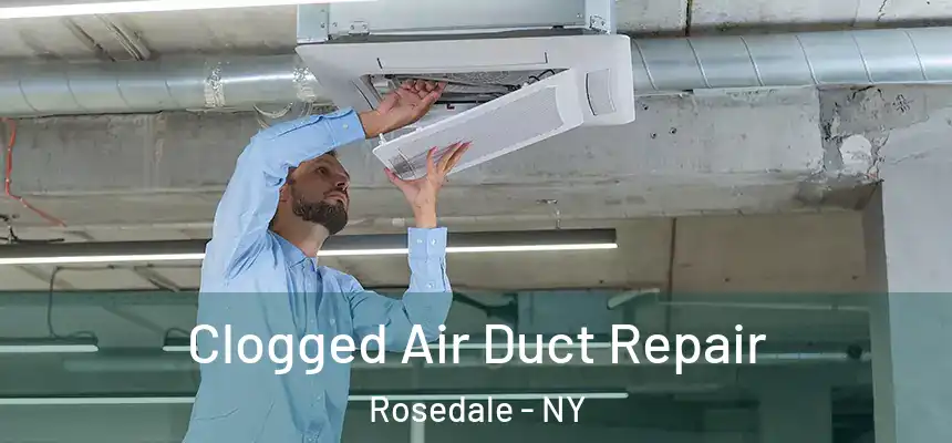 Clogged Air Duct Repair Rosedale - NY