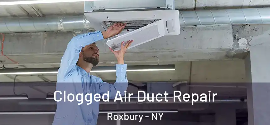 Clogged Air Duct Repair Roxbury - NY