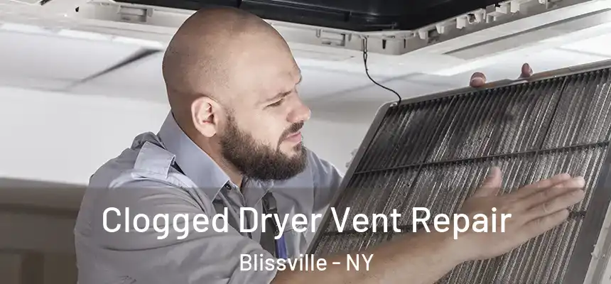 Clogged Dryer Vent Repair Blissville - NY