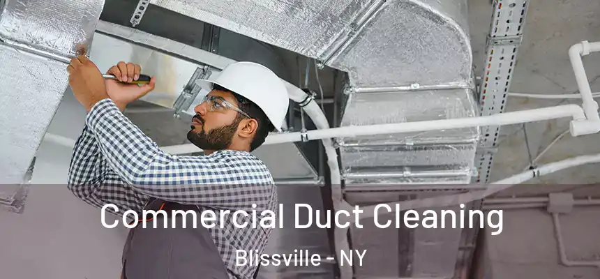  Commercial Duct Cleaning Blissville - NY