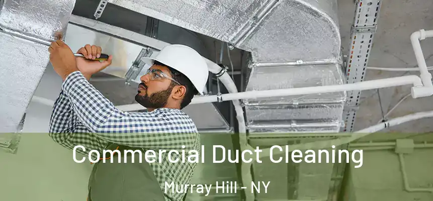  Commercial Duct Cleaning Murray Hill - NY