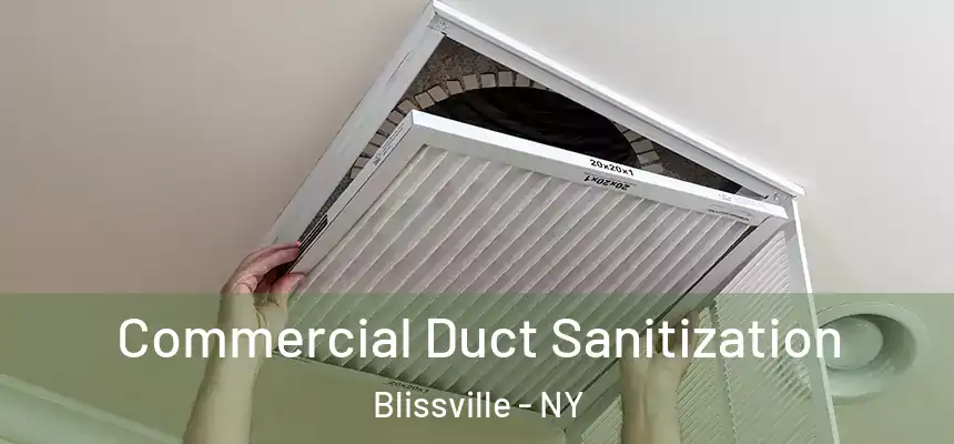  Commercial Duct Sanitization Blissville - NY
