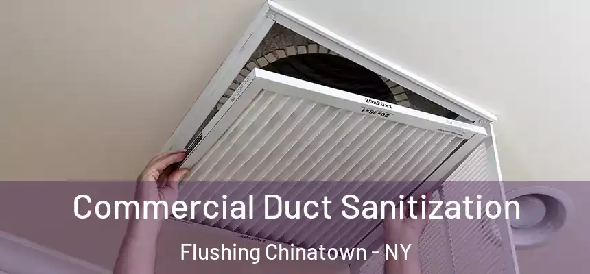 Commercial Duct Sanitization Flushing Chinatown - NY