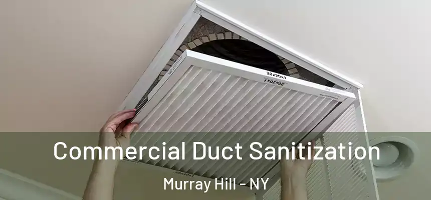 Commercial Duct Sanitization Murray Hill - NY