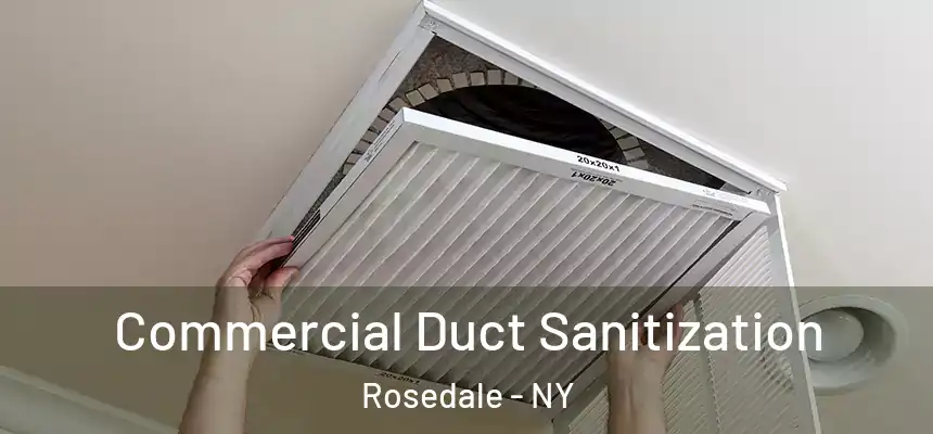 Commercial Duct Sanitization Rosedale - NY