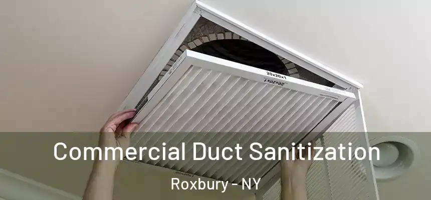 Commercial Duct Sanitization Roxbury - NY