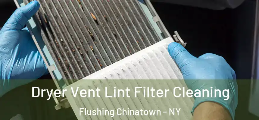  Dryer Vent Lint Filter Cleaning Flushing Chinatown - NY