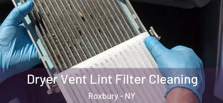  Dryer Vent Lint Filter Cleaning Roxbury - NY