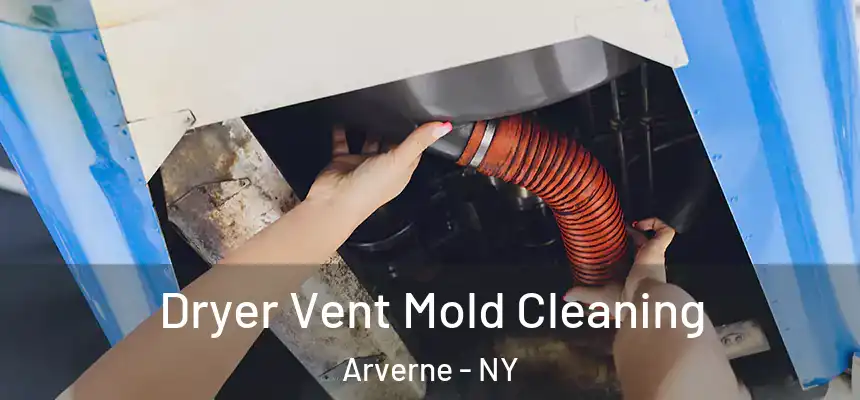  Dryer Vent Mold Cleaning Arverne - NY