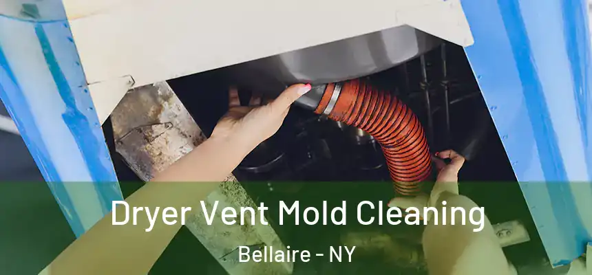 Dryer Vent Mold Cleaning Bellaire - NY