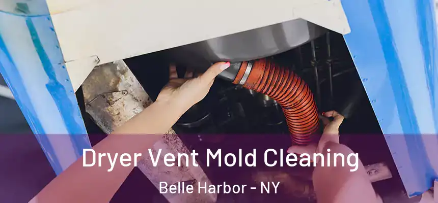 Dryer Vent Mold Cleaning Belle Harbor - NY