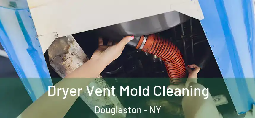 Dryer Vent Mold Cleaning Douglaston - NY