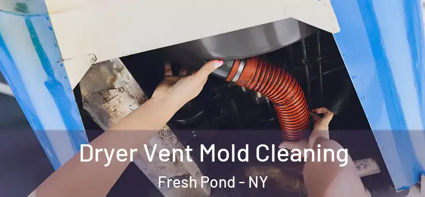 Dryer Vent Mold Cleaning Fresh Pond - NY