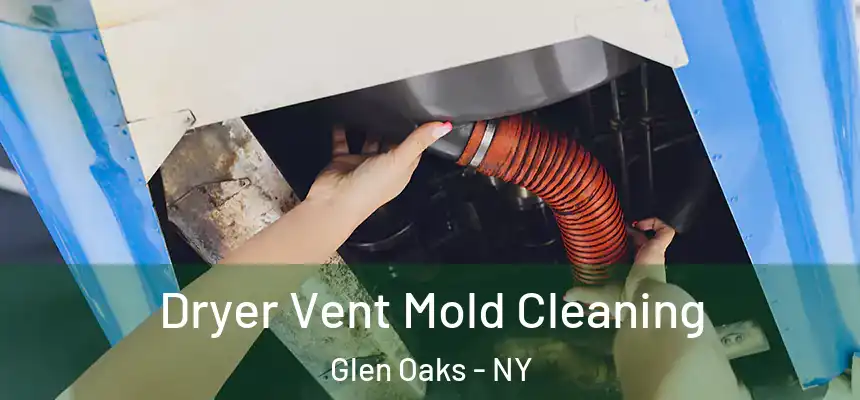 Dryer Vent Mold Cleaning Glen Oaks - NY