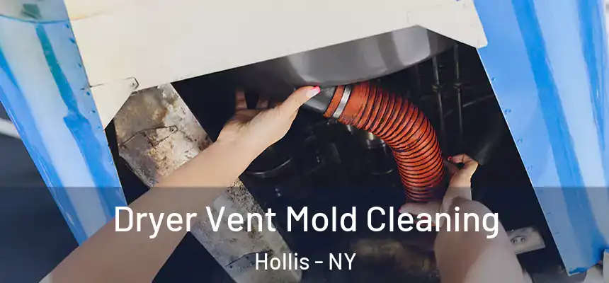  Dryer Vent Mold Cleaning Hollis - NY