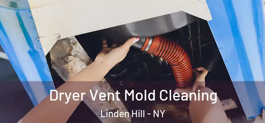  Dryer Vent Mold Cleaning Linden Hill - NY