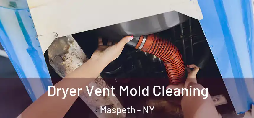 Dryer Vent Mold Cleaning Maspeth - NY