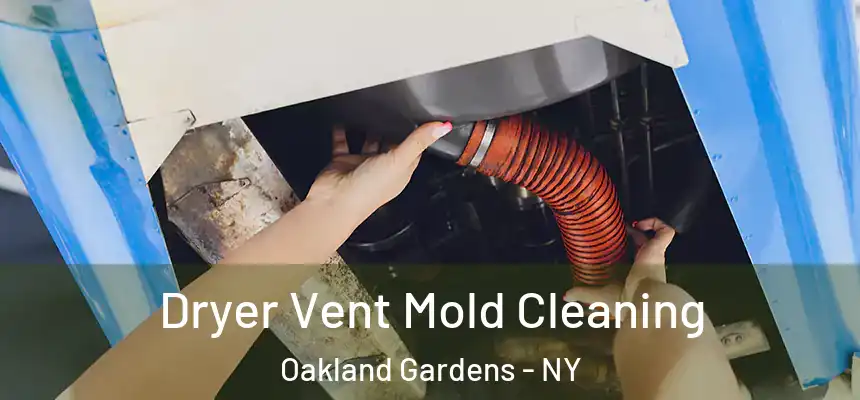  Dryer Vent Mold Cleaning Oakland Gardens - NY