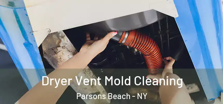  Dryer Vent Mold Cleaning Parsons Beach - NY