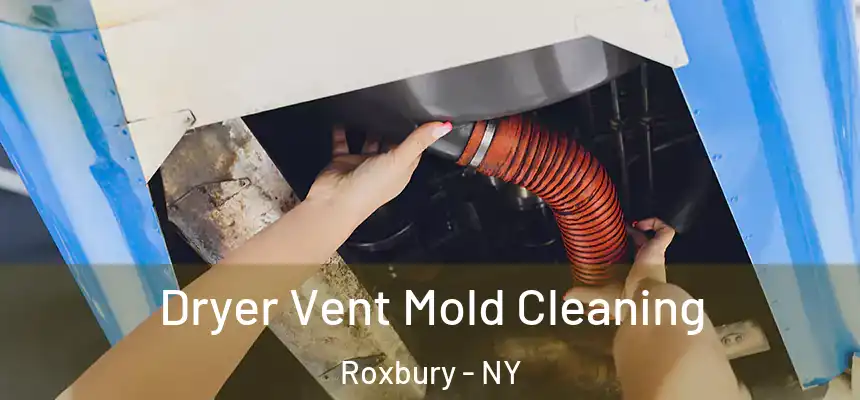 Dryer Vent Mold Cleaning Roxbury - NY