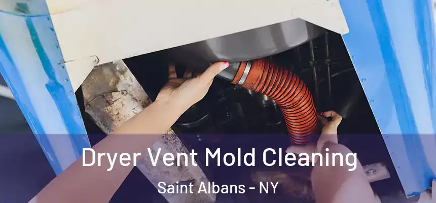 Dryer Vent Mold Cleaning Saint Albans - NY