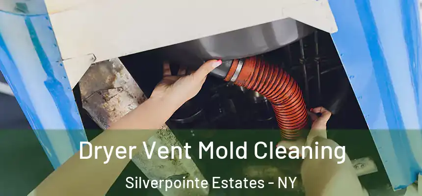  Dryer Vent Mold Cleaning Silverpointe Estates - NY