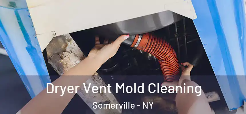 Dryer Vent Mold Cleaning Somerville - NY