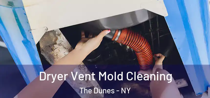 Dryer Vent Mold Cleaning The Dunes - NY