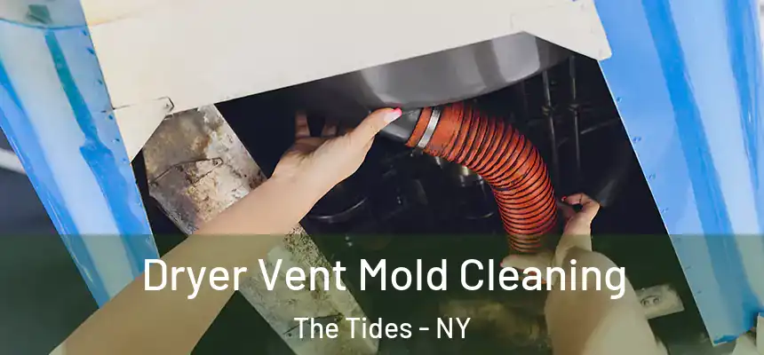 Dryer Vent Mold Cleaning The Tides - NY