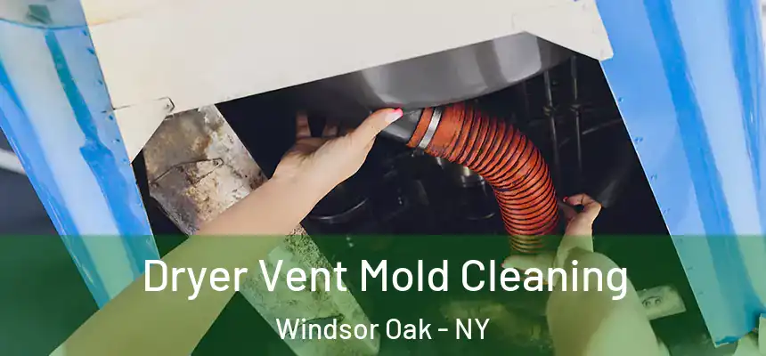 Dryer Vent Mold Cleaning Windsor Oak - NY