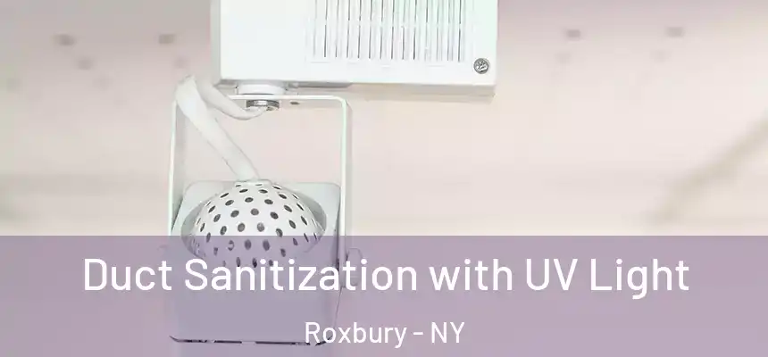 Duct Sanitization with UV Light Roxbury - NY