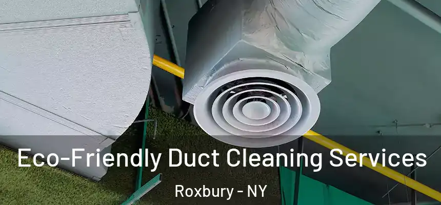  Eco-Friendly Duct Cleaning Services Roxbury - NY
