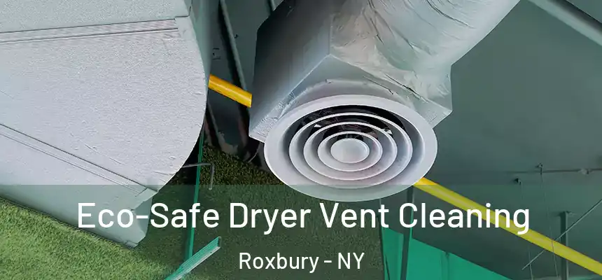 Eco-Safe Dryer Vent Cleaning Roxbury - NY