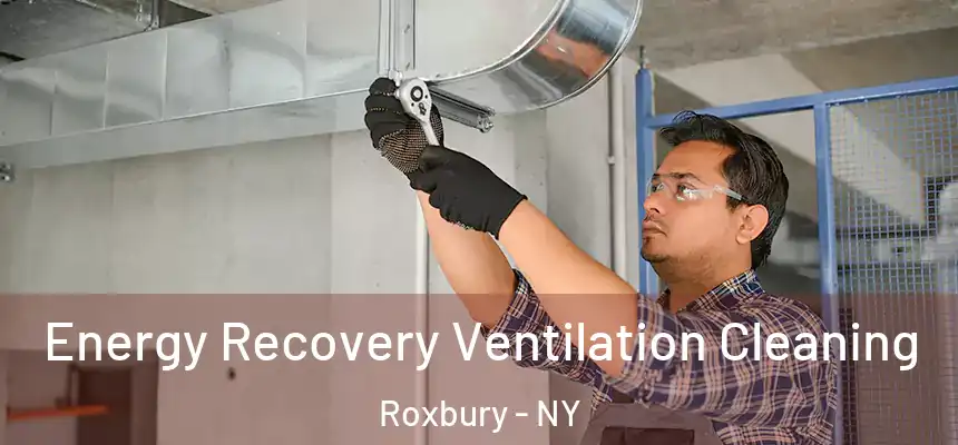  Energy Recovery Ventilation Cleaning Roxbury - NY