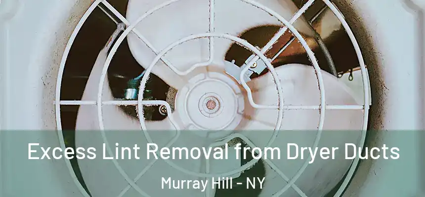  Excess Lint Removal from Dryer Ducts Murray Hill - NY