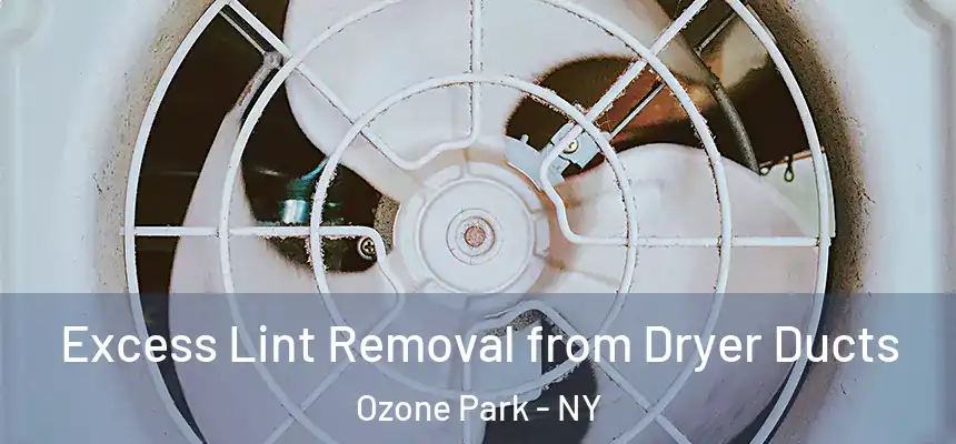 Excess Lint Removal from Dryer Ducts Ozone Park - NY