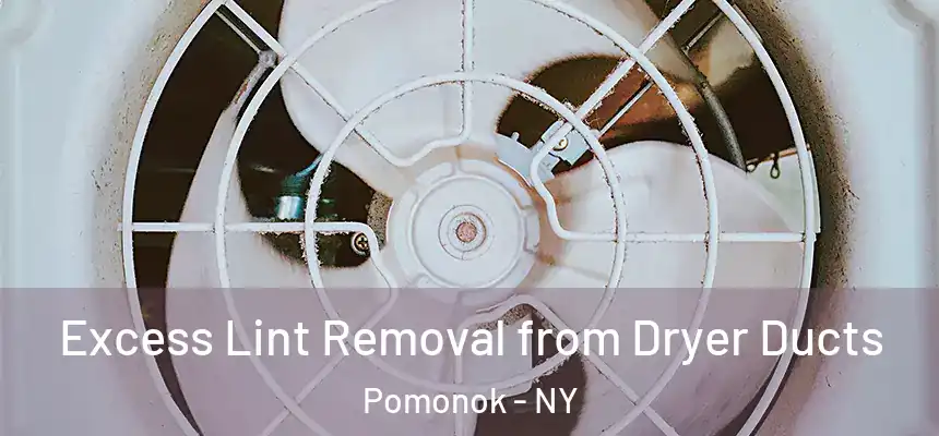 Excess Lint Removal from Dryer Ducts Pomonok - NY