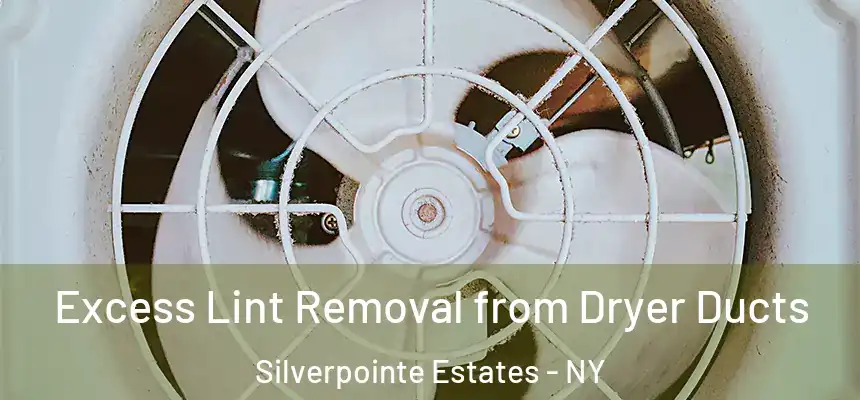  Excess Lint Removal from Dryer Ducts Silverpointe Estates - NY