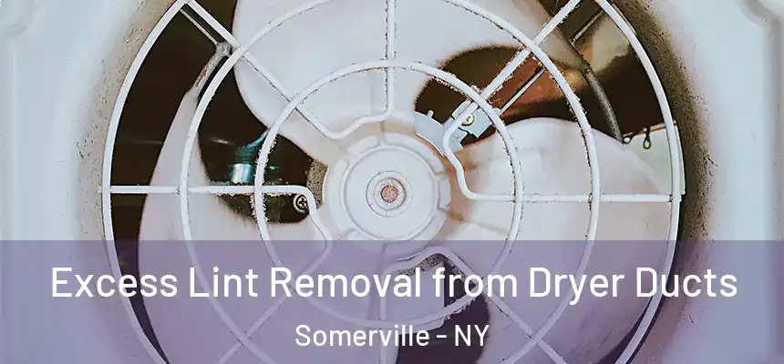  Excess Lint Removal from Dryer Ducts Somerville - NY