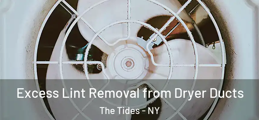  Excess Lint Removal from Dryer Ducts The Tides - NY