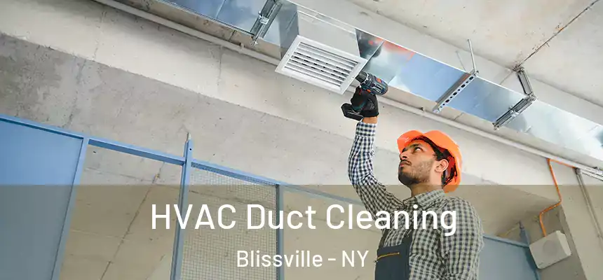 HVAC Duct Cleaning Blissville - NY