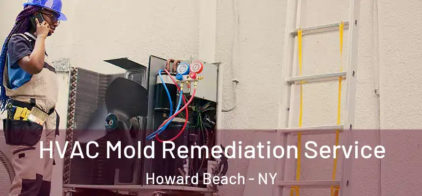 HVAC Mold Remediation Service Howard Beach - NY