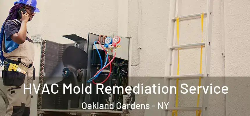  HVAC Mold Remediation Service Oakland Gardens - NY