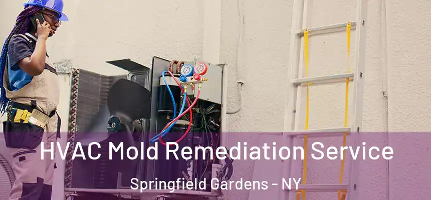  HVAC Mold Remediation Service Springfield Gardens - NY