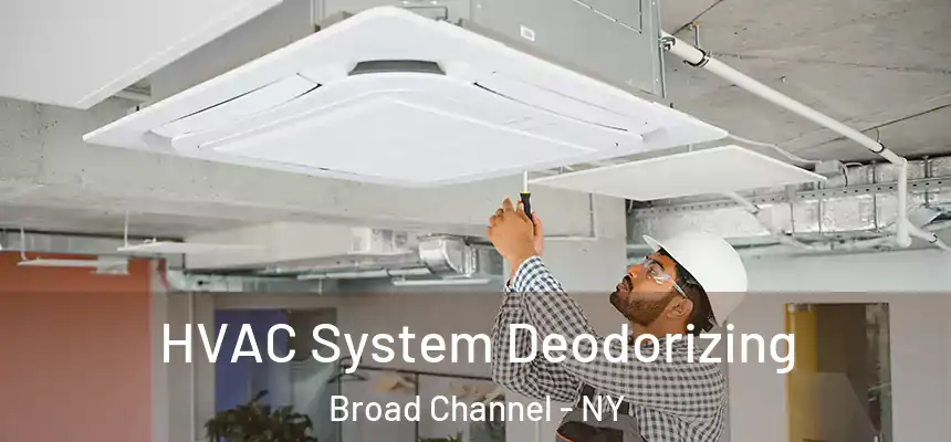 HVAC System Deodorizing Broad Channel - NY