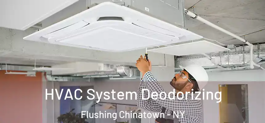  HVAC System Deodorizing Flushing Chinatown - NY
