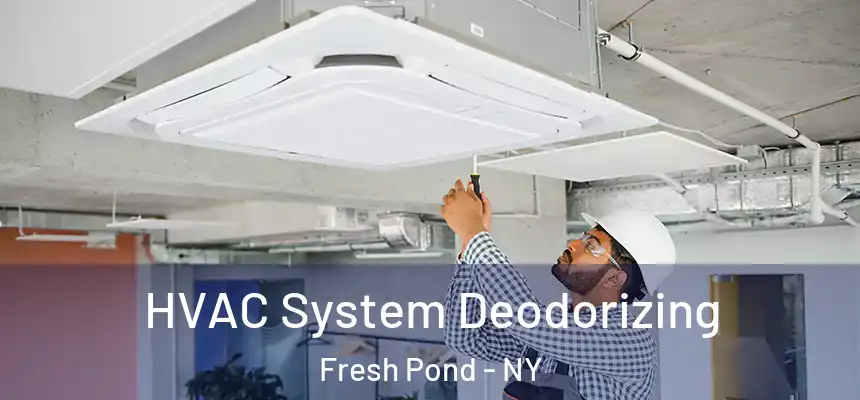  HVAC System Deodorizing Fresh Pond - NY