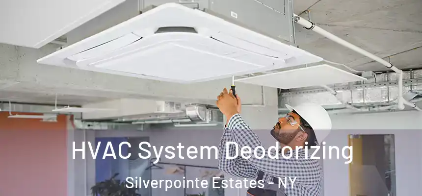  HVAC System Deodorizing Silverpointe Estates - NY