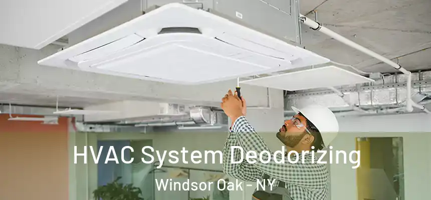  HVAC System Deodorizing Windsor Oak - NY